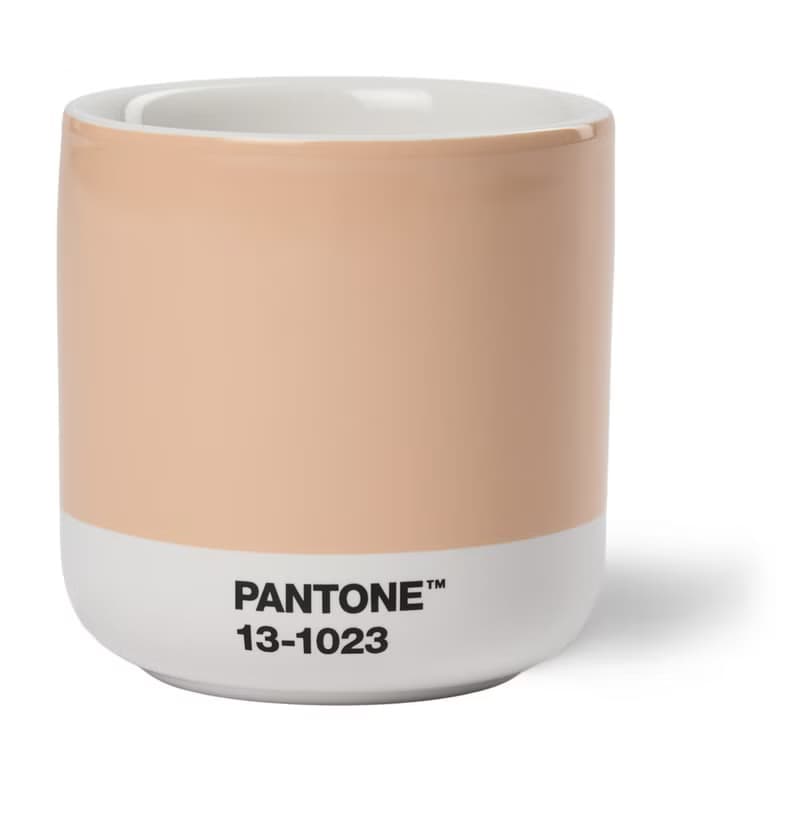 PANTONE 彩通 2024柔和桃限定色