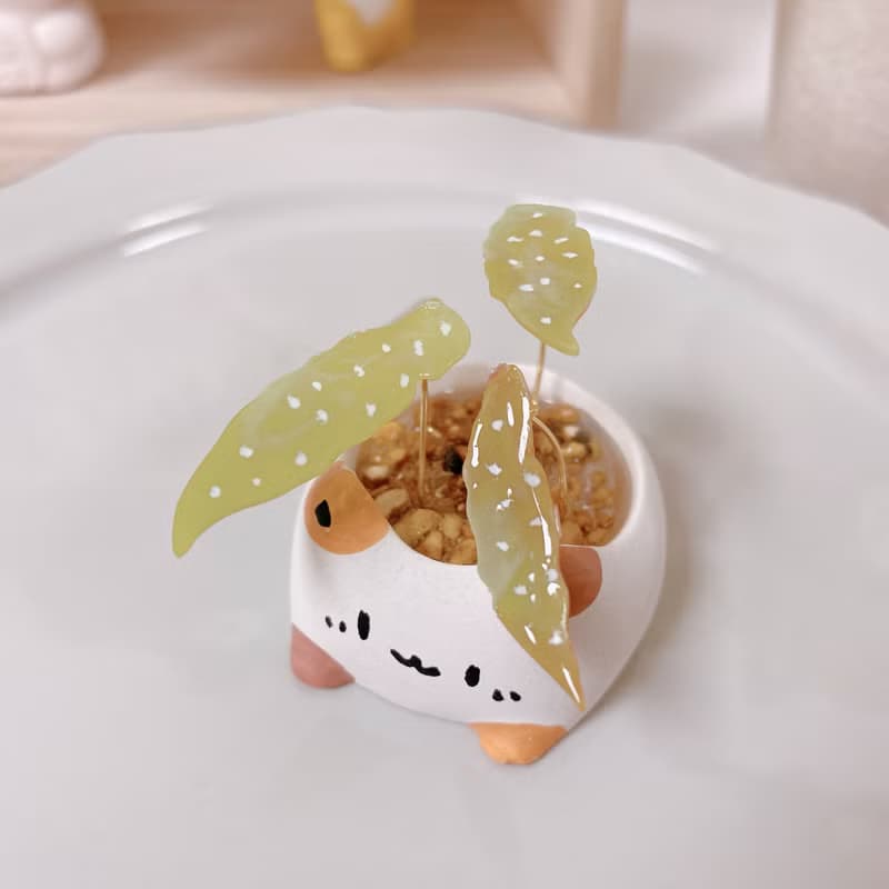 植喵系列   鱒魚秋海棠喵  擴香桌面小植栽