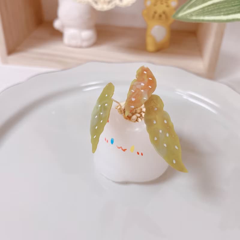 植喵系列   鱒魚秋海棠喵  擴香桌面小植栽