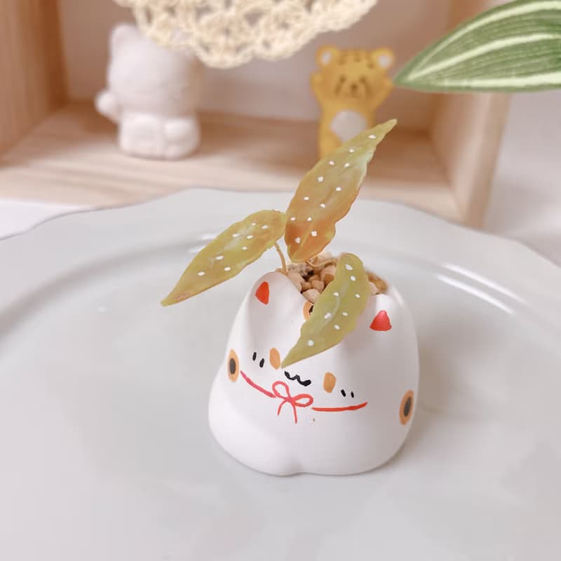 植喵系列   鱒魚秋海棠喵  擴香桌面小植栽