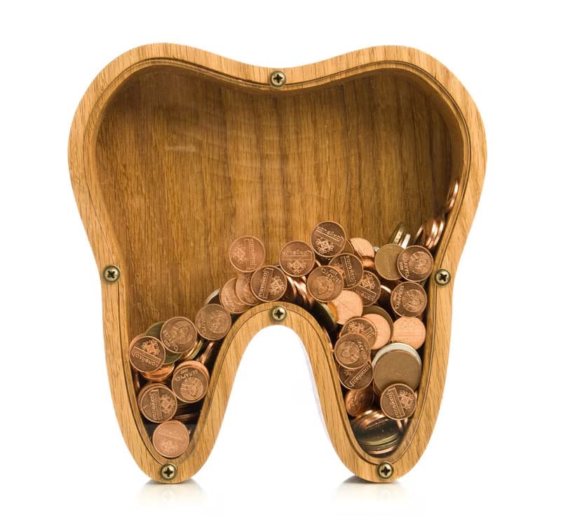 Wood piggy bank for boys girls adult TOOTH Organic glass tip jar Child coin bank