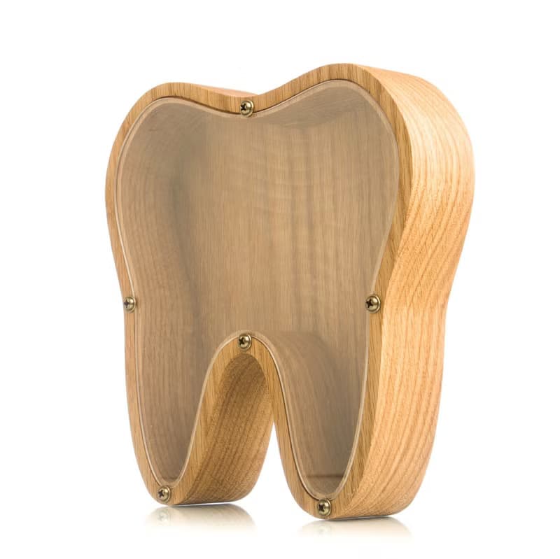 Wood piggy bank for boys girls adult TOOTH Organic glass tip jar Child coin bank