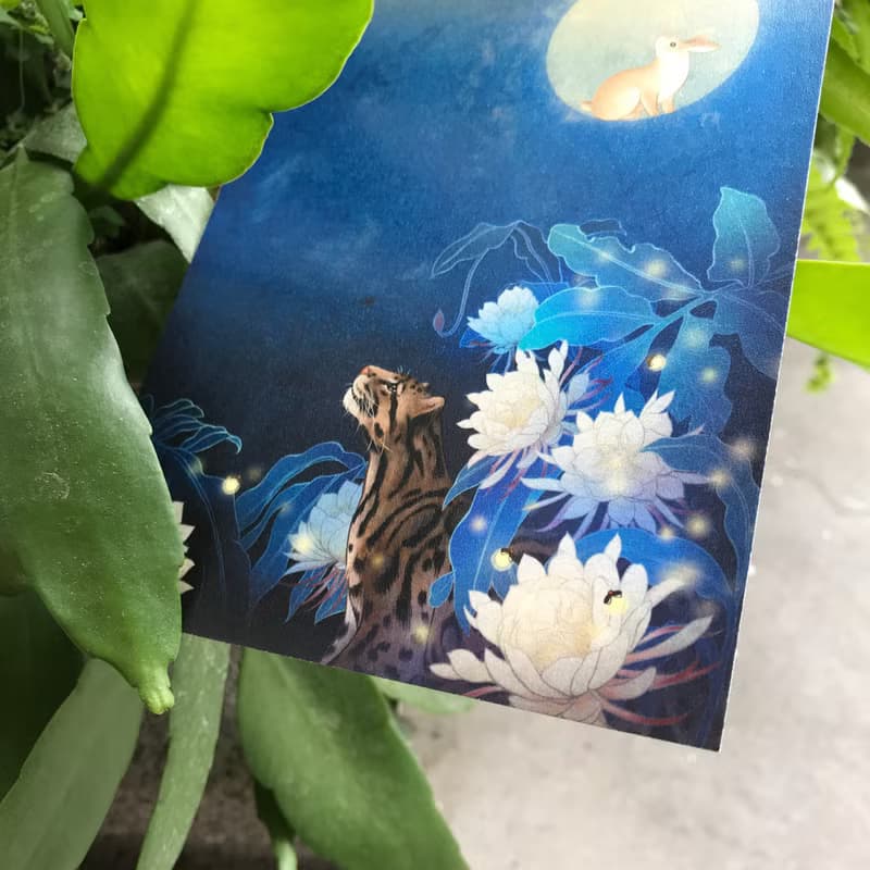 【尋找微光/卡片明信片】精緻插畫/加大款/台灣雲豹/月兔/曇花
