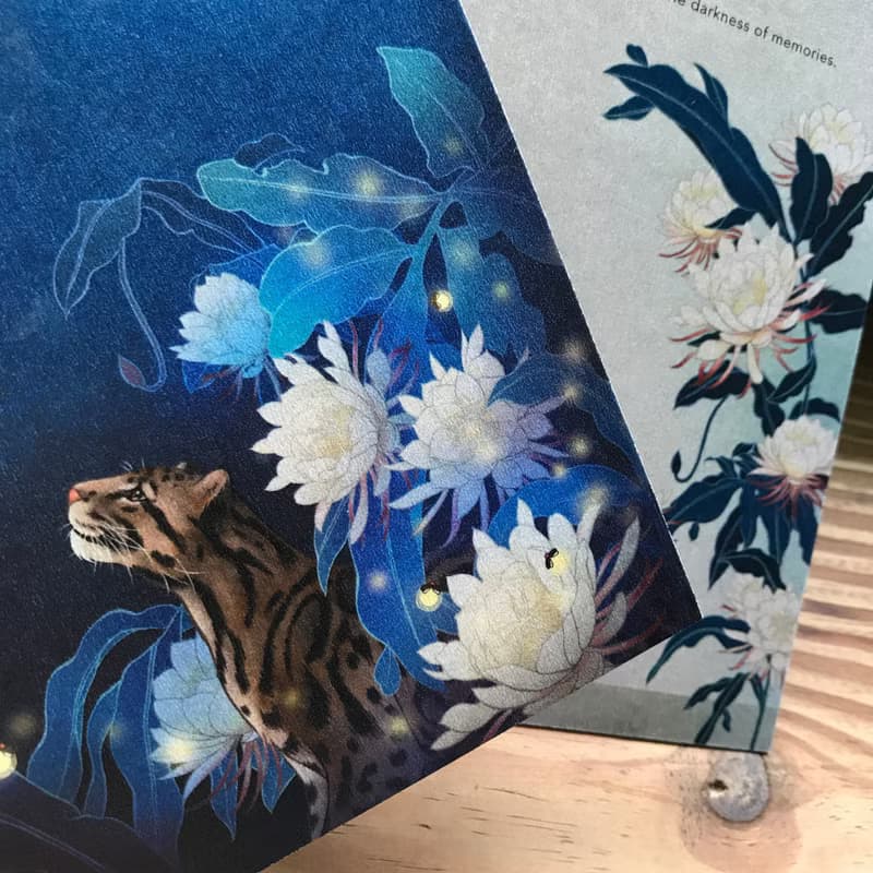 【尋找微光/卡片明信片】精緻插畫/加大款/台灣雲豹/月兔/曇花