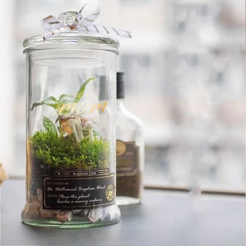 【體驗】(大直)打造自己的華德箱/植物生態瓶【成人班】