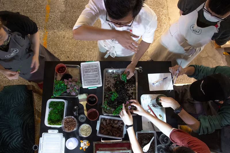 【體驗】(大直)打造自己的華德箱/植物生態瓶【成人班】