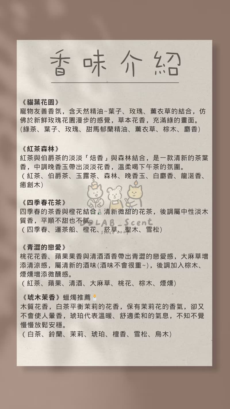 DDLAB | 畢業禮物 MBTI香氛蠟燭小熊 生日禮物 婚禮小物 茶蠟