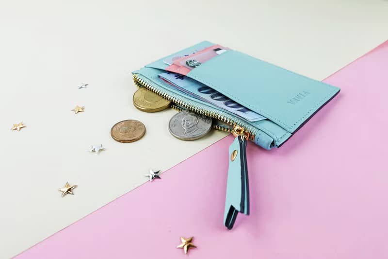 Mint Blue & Coral Pink: Zipped Card Purse / Cow Leather