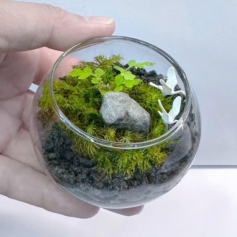 比翼雙飛 / 迷你掌上型手工微景觀生態盆