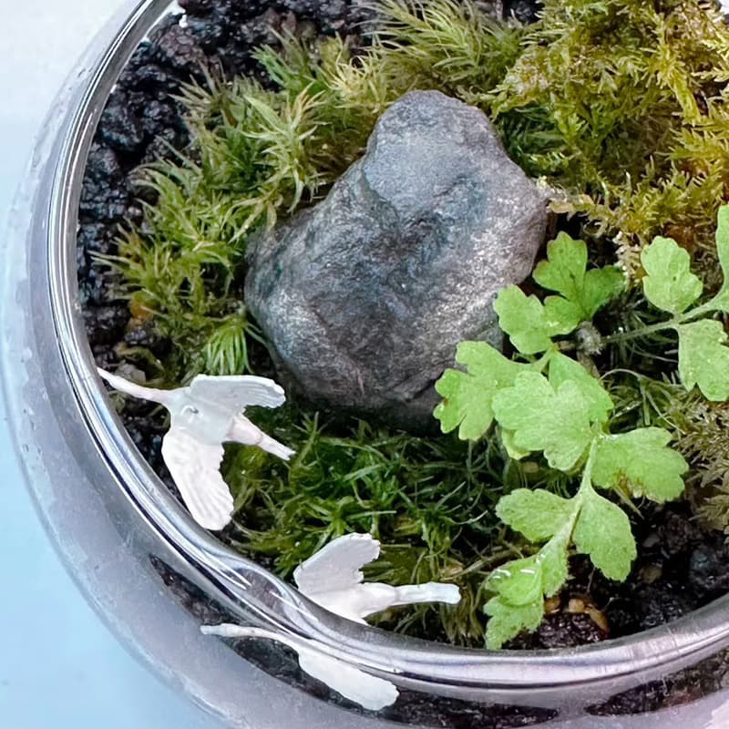 比翼雙飛 / 迷你掌上型手工微景觀生態盆