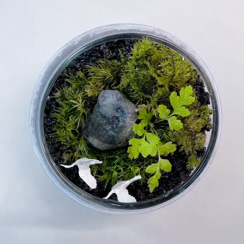 比翼雙飛 / 迷你掌上型手工微景觀生態盆