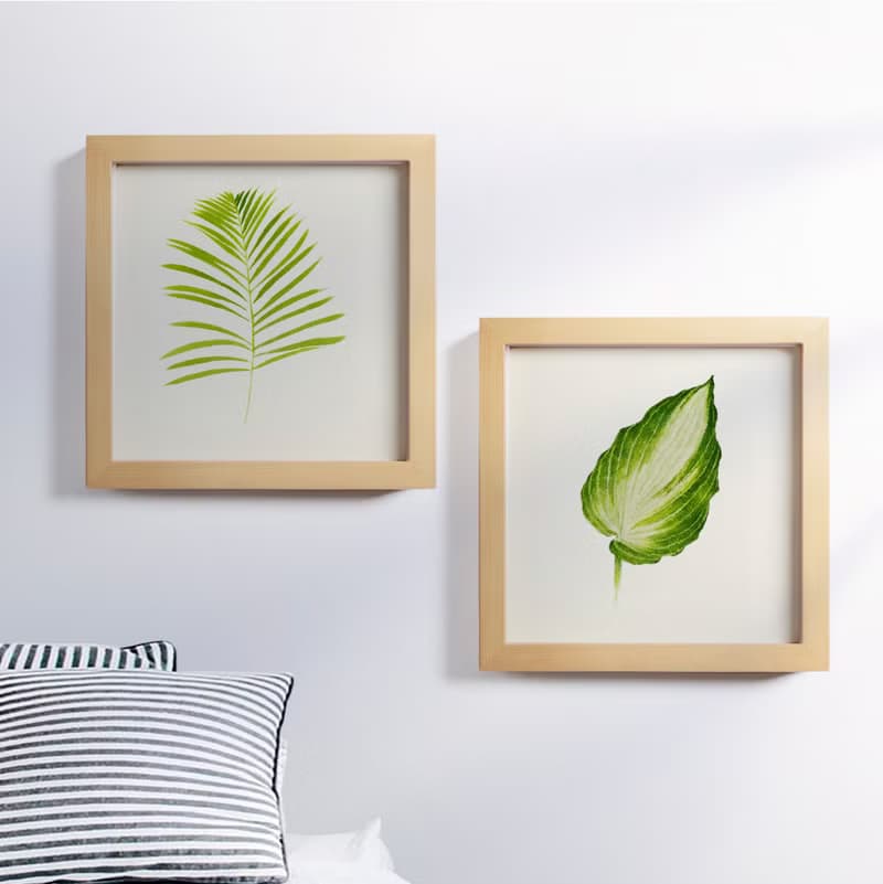植物的靜默 2025 2026年 月曆 掛曆 給植物愛好者的新年禮物 1