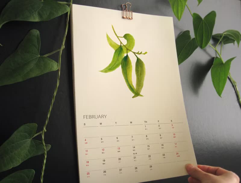 植物的靜默 2025 2026年 月曆 掛曆 給植物愛好者的新年禮物 1