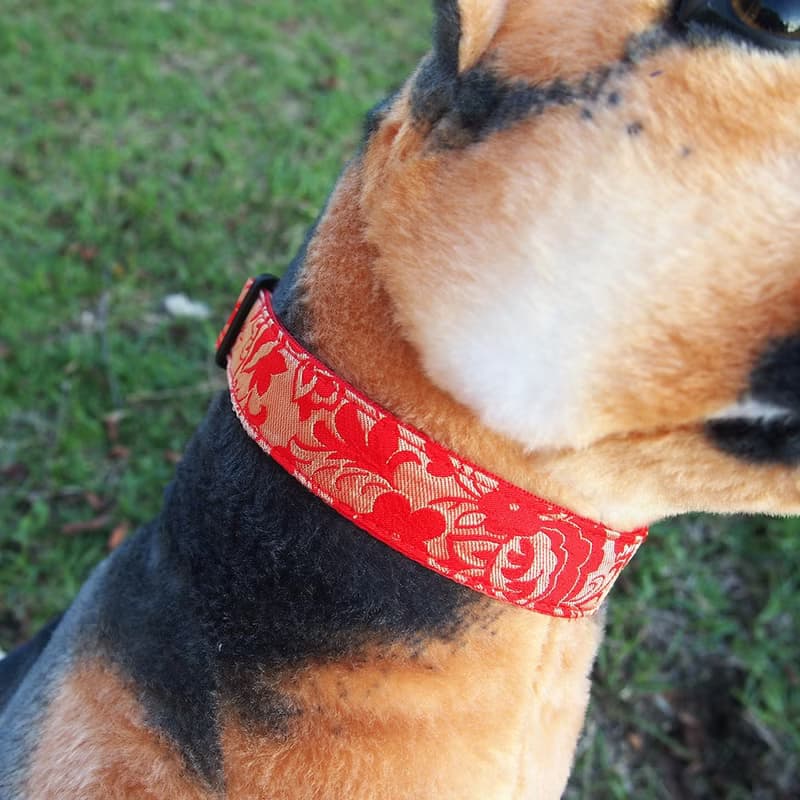 繡金繁花款 犬用項圈