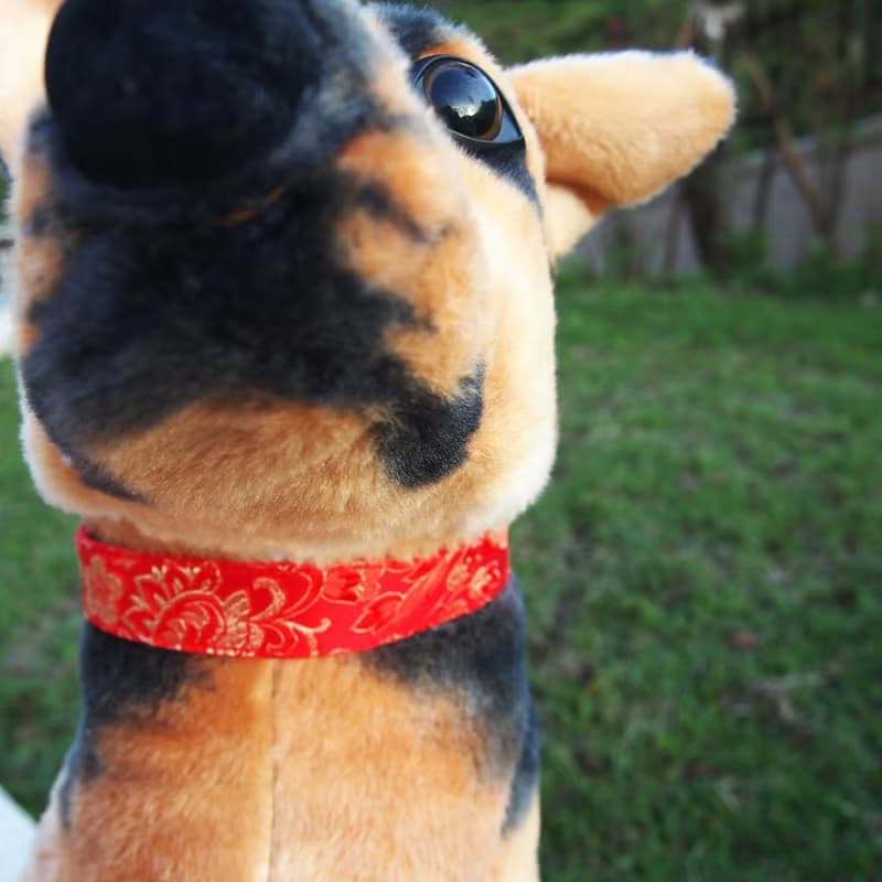 繡金繁花款 犬用項圈