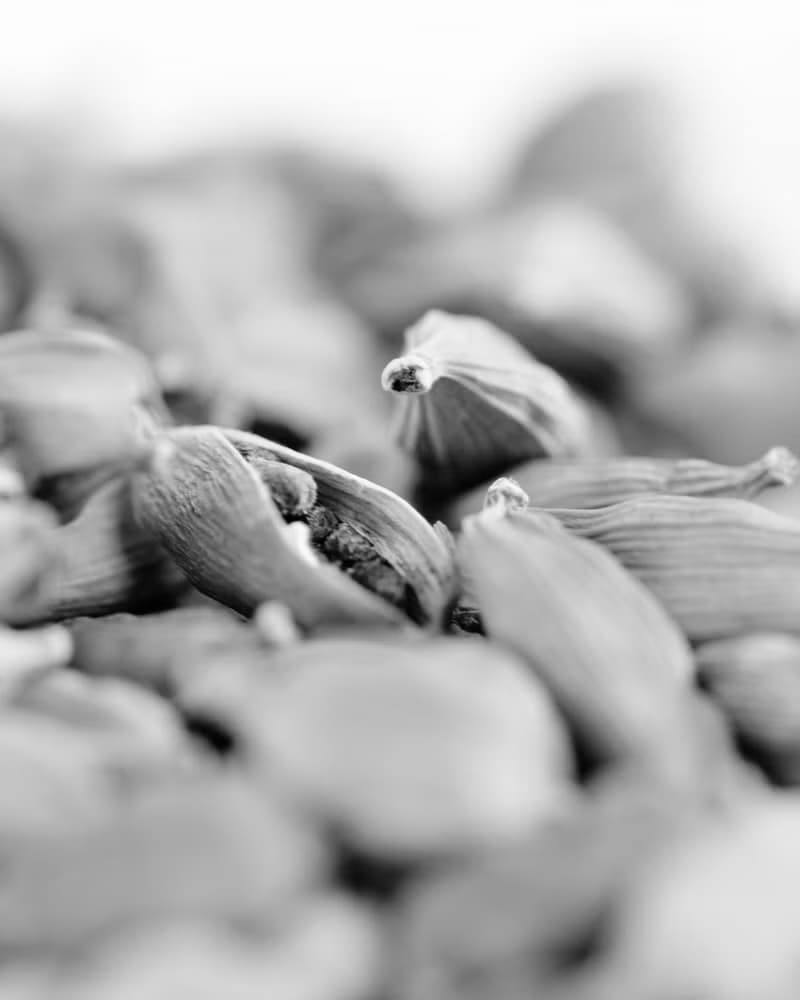 DEVILS GARDEN (魔鬼的花園) 固態香水 - Fulton & Roark