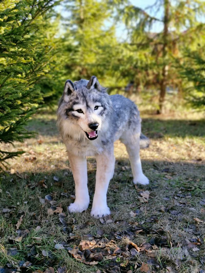 白狼作者的逼真室內娃娃真實尺寸軟雕塑