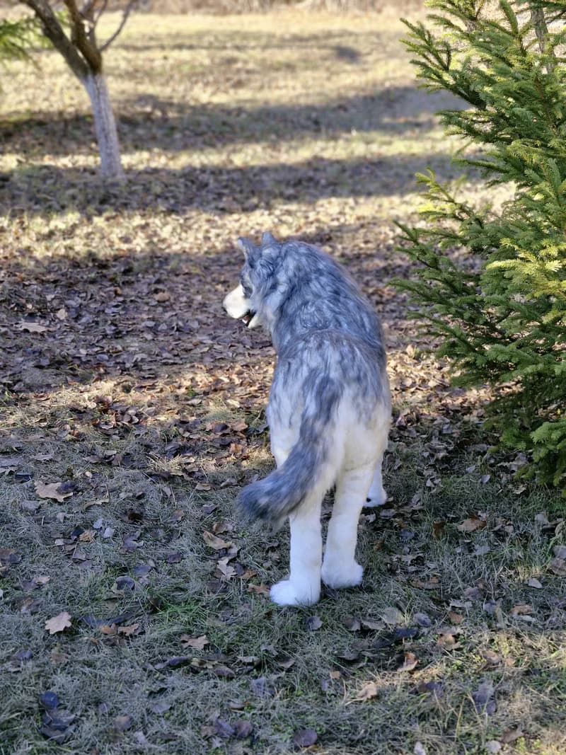 白狼作者的逼真室內娃娃真實尺寸軟雕塑