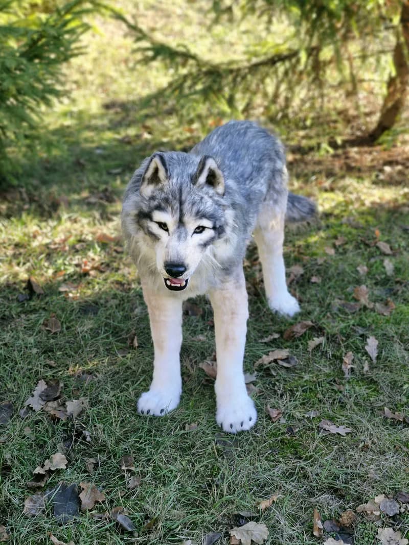 白狼作者的逼真室內娃娃真實尺寸軟雕塑