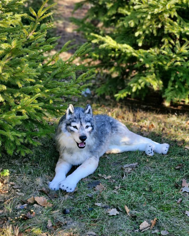 白狼作者的逼真室內娃娃真實尺寸軟雕塑