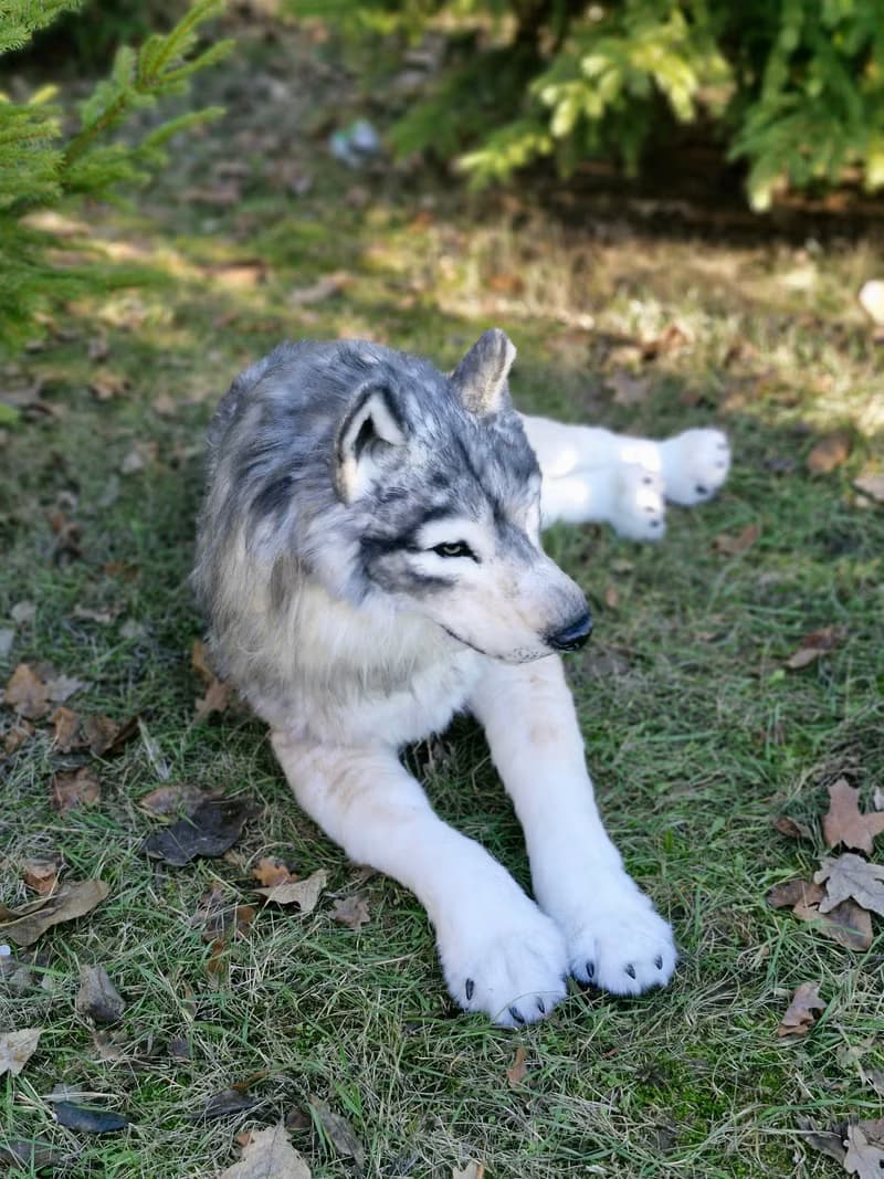 白狼作者的逼真室內娃娃真實尺寸軟雕塑
