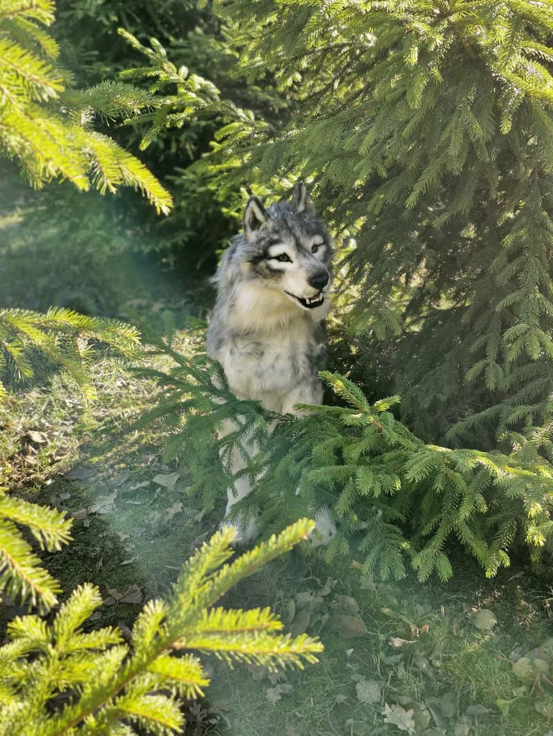 白狼作者的逼真室內娃娃真實尺寸軟雕塑