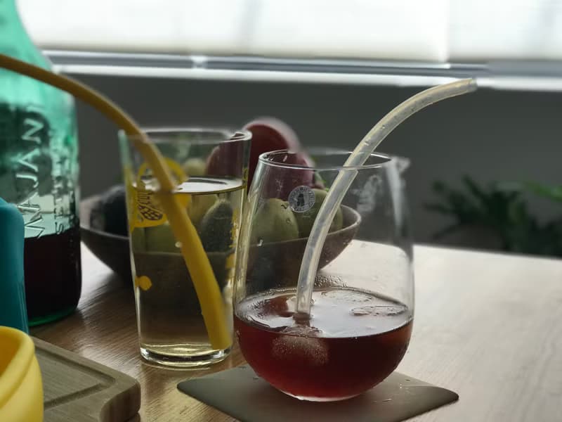 加拿大LUUMI Straws矽膠吸管組 兩入組