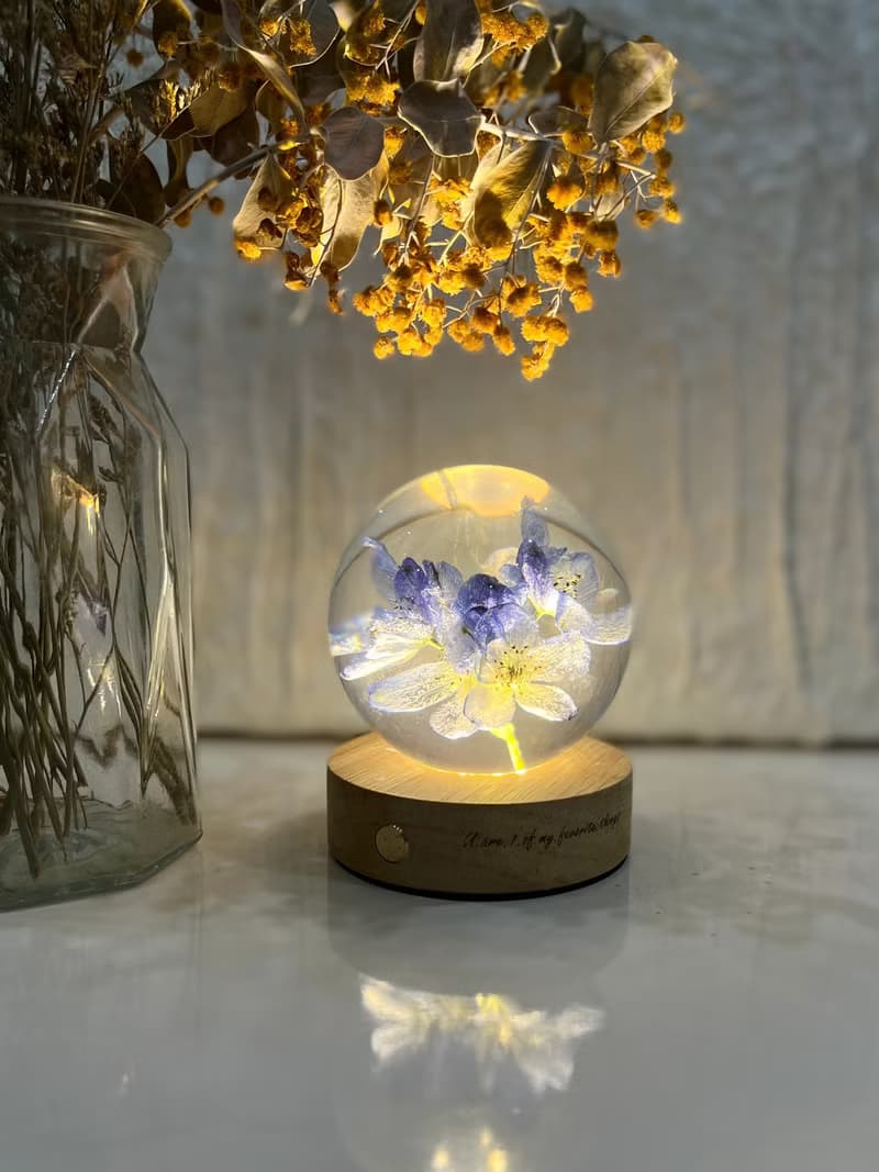 小飛燕真花標本/植物標本水晶球夜燈/植物禮物