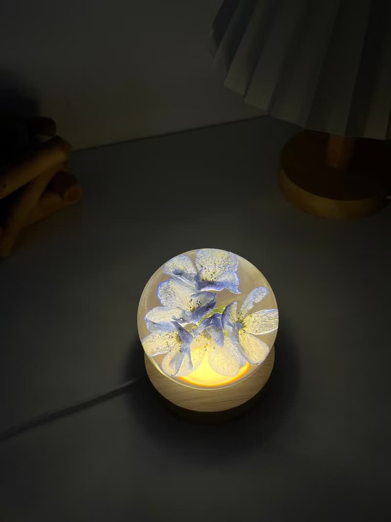 小飛燕真花標本/植物標本水晶球夜燈/植物禮物