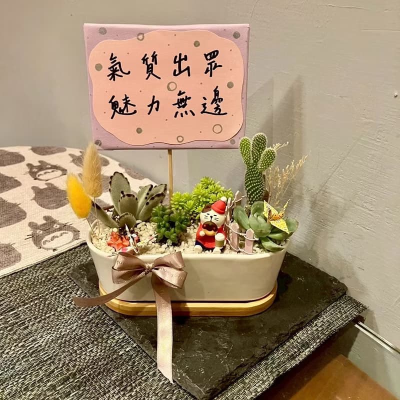 聖誕甜甜圈 貓 台中多肉組盆 多肉植物 聖誕禮物 耶誕 日本decole