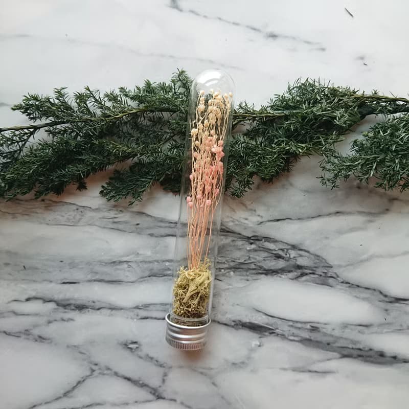 試管森林 / 紅粉系列 / 婚禮小物 活動小物