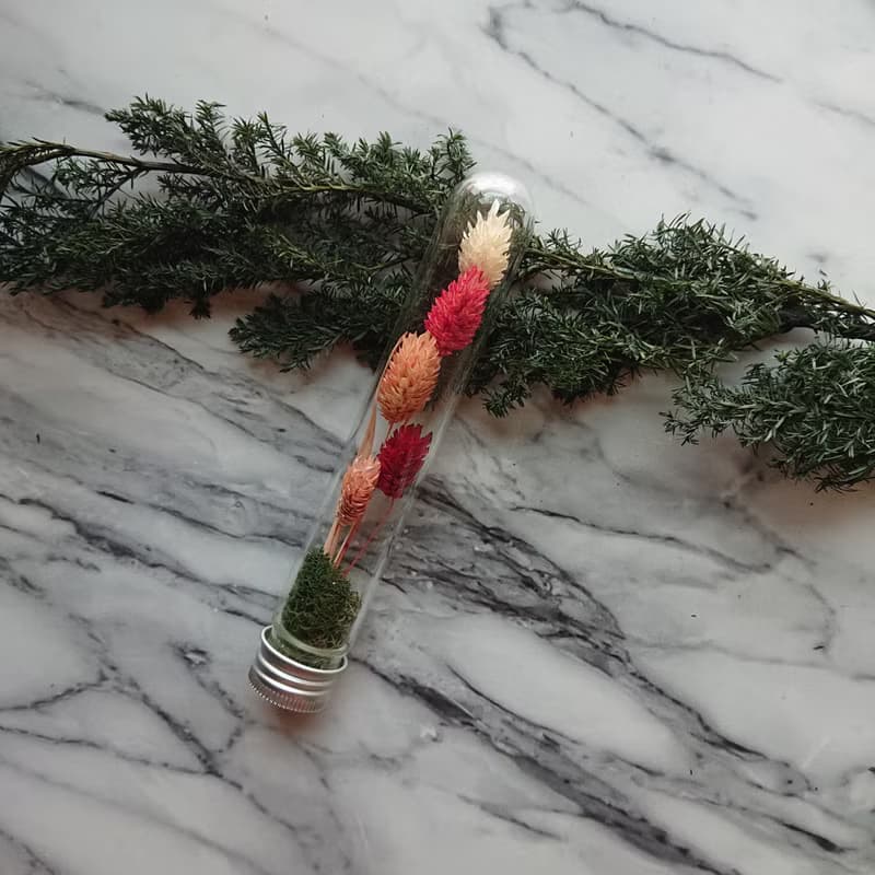 試管森林 / 紅粉系列 / 婚禮小物 活動小物
