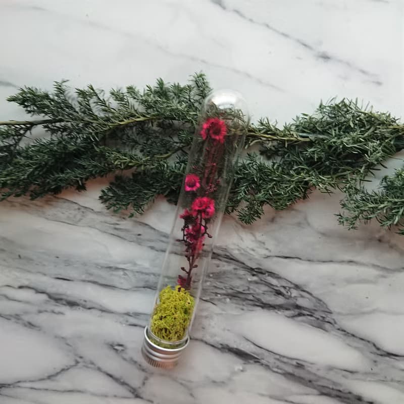 試管森林 / 紅粉系列 / 婚禮小物 活動小物