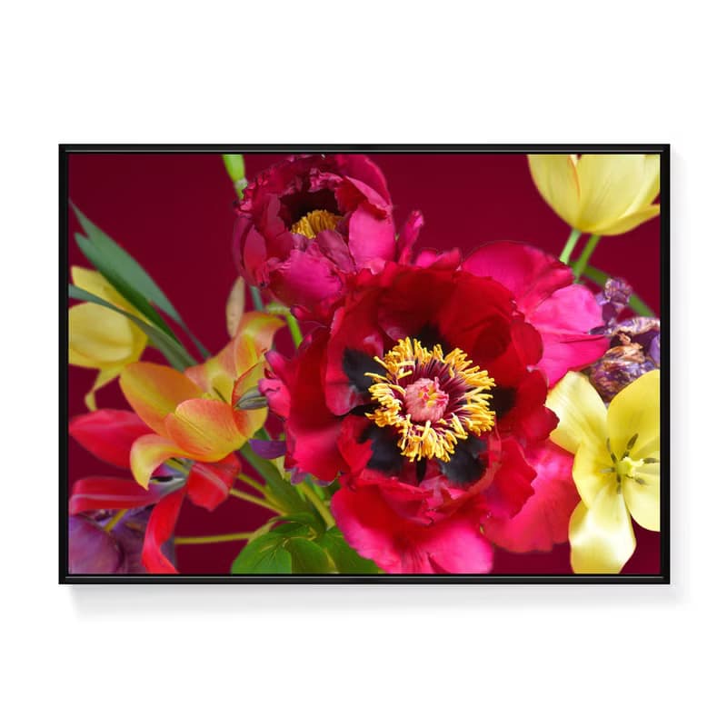 紅黃花采間 - 牡丹鬱金香花卉掛畫/新年花卉裝飾掛畫/插花攝影