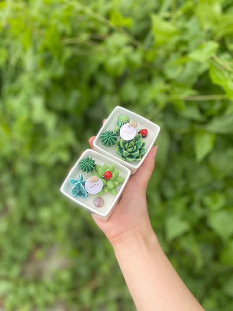 多肉植物方盆蠟燭 | 手工香氛蠟燭