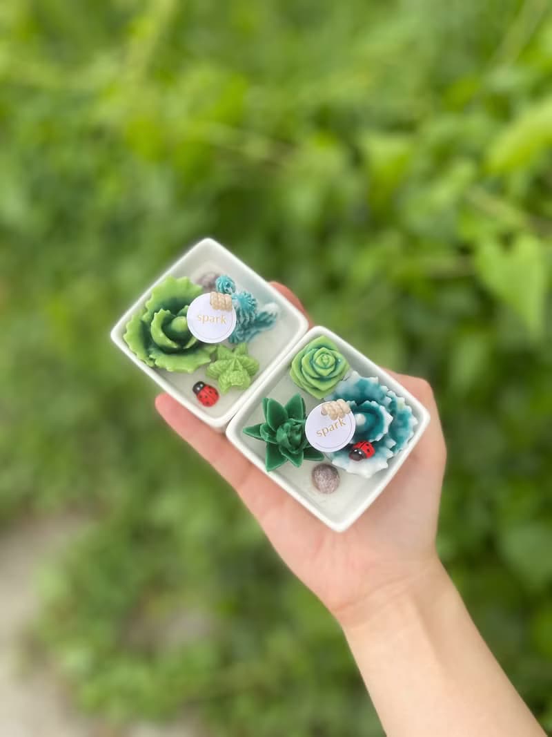 多肉植物方盆蠟燭 | 手工香氛蠟燭