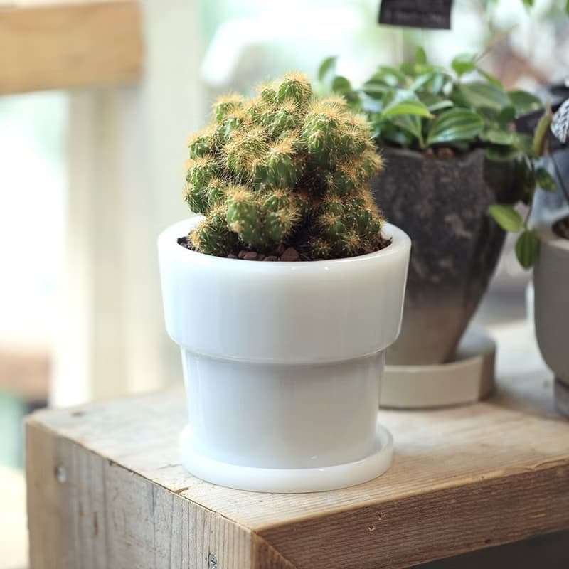 日本ideaco 復古風奶玉植栽盆器(直徑12cm)-大-多色可選
