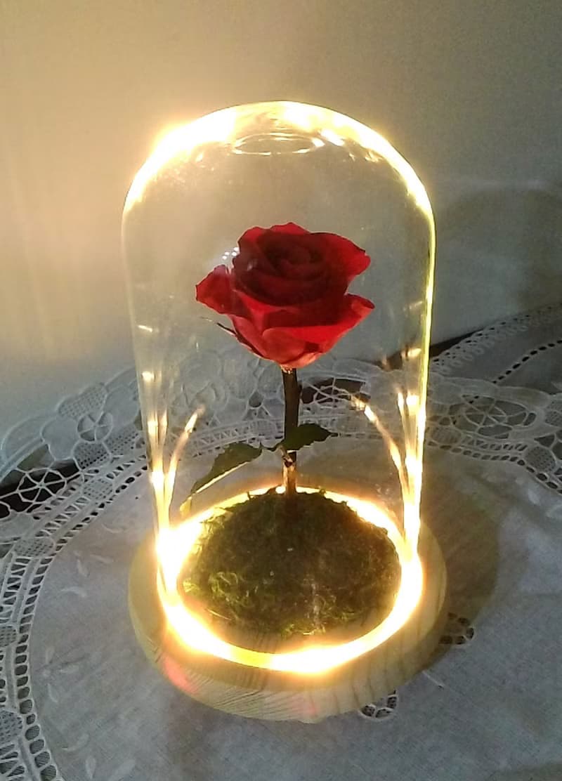 l 星球驕傲玫瑰  帶燈玻璃罩花禮 l *小王子*情人*不凋花*永生花