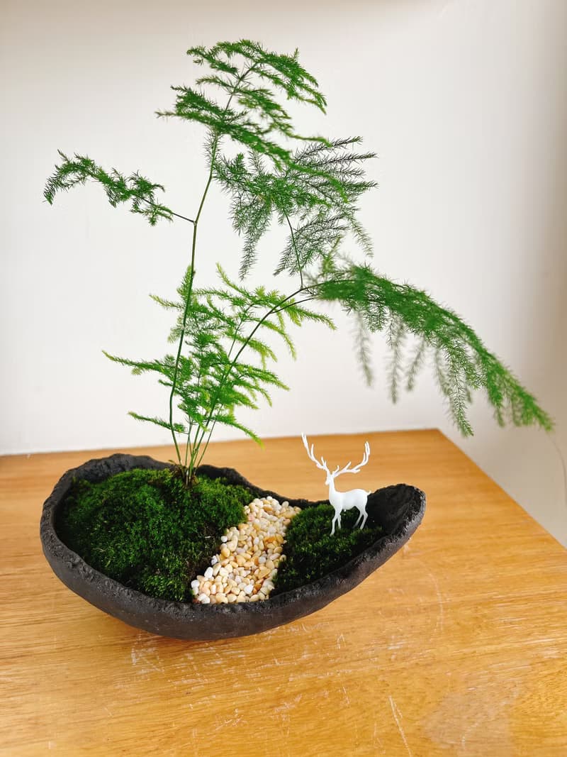 純自然 日式盆栽 禪 文竹 水泥 盆栽  靈鹿 送禮 zen
