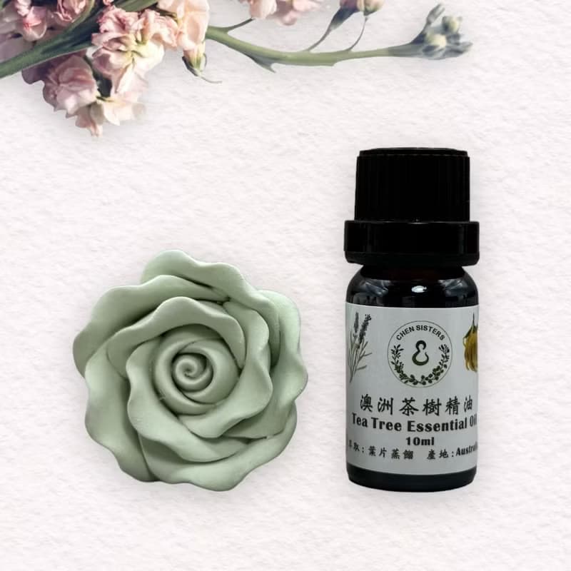 天然純精油 茶樹精油 10/50ML 100%純精油 單方精油 贈玫瑰擴香石
