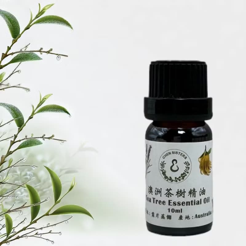 天然純精油 茶樹精油 10/50ML 100%純精油 單方精油 贈玫瑰擴香石