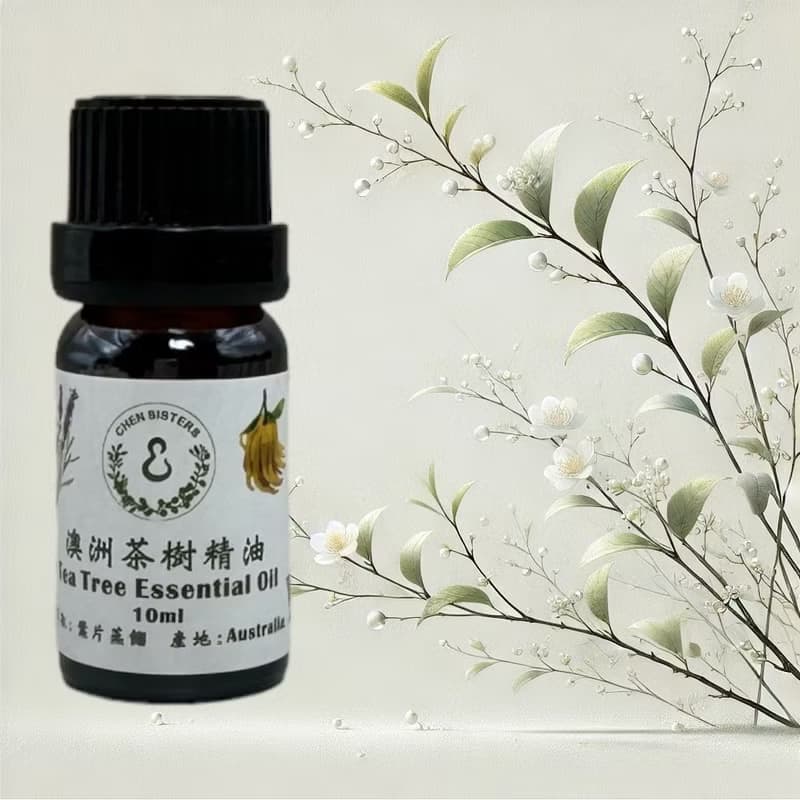 天然純精油 茶樹精油 10/50ML 100%純精油 單方精油 贈玫瑰擴香石