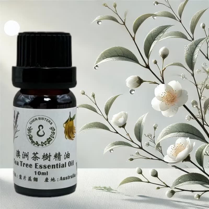 天然純精油 茶樹精油 10/50ML 100%純精油 單方精油 贈玫瑰擴香石