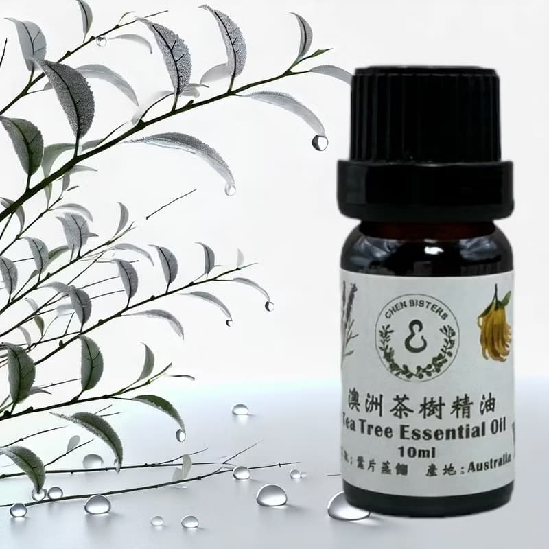 天然純精油 茶樹精油 10/50ML 100%純精油 單方精油 贈玫瑰擴香石