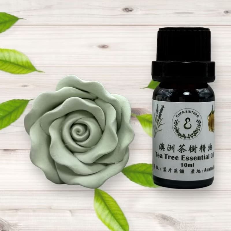 天然純精油 茶樹精油 10/50ML 100%純精油 單方精油 贈玫瑰擴香石