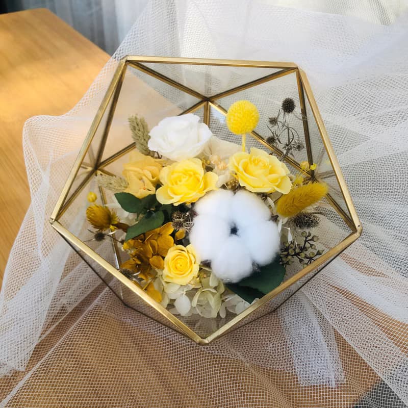 Ochre 玻璃花房系列-半圓金邊-大