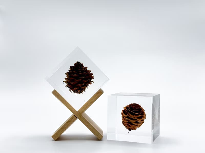 【純淨植磚－毬果】植感手作藝術品/居家品味擺飾