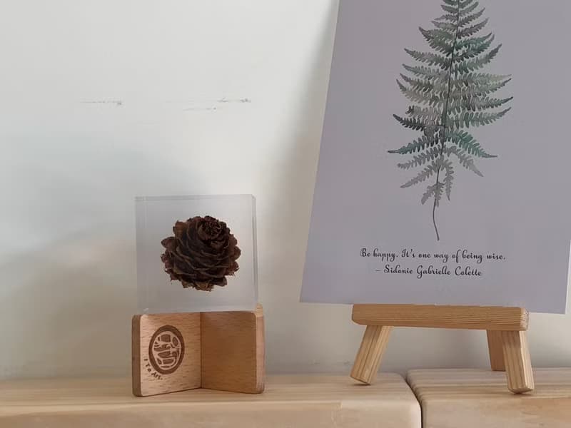 【純淨植磚－毬果】植感手作藝術品/居家品味擺飾
