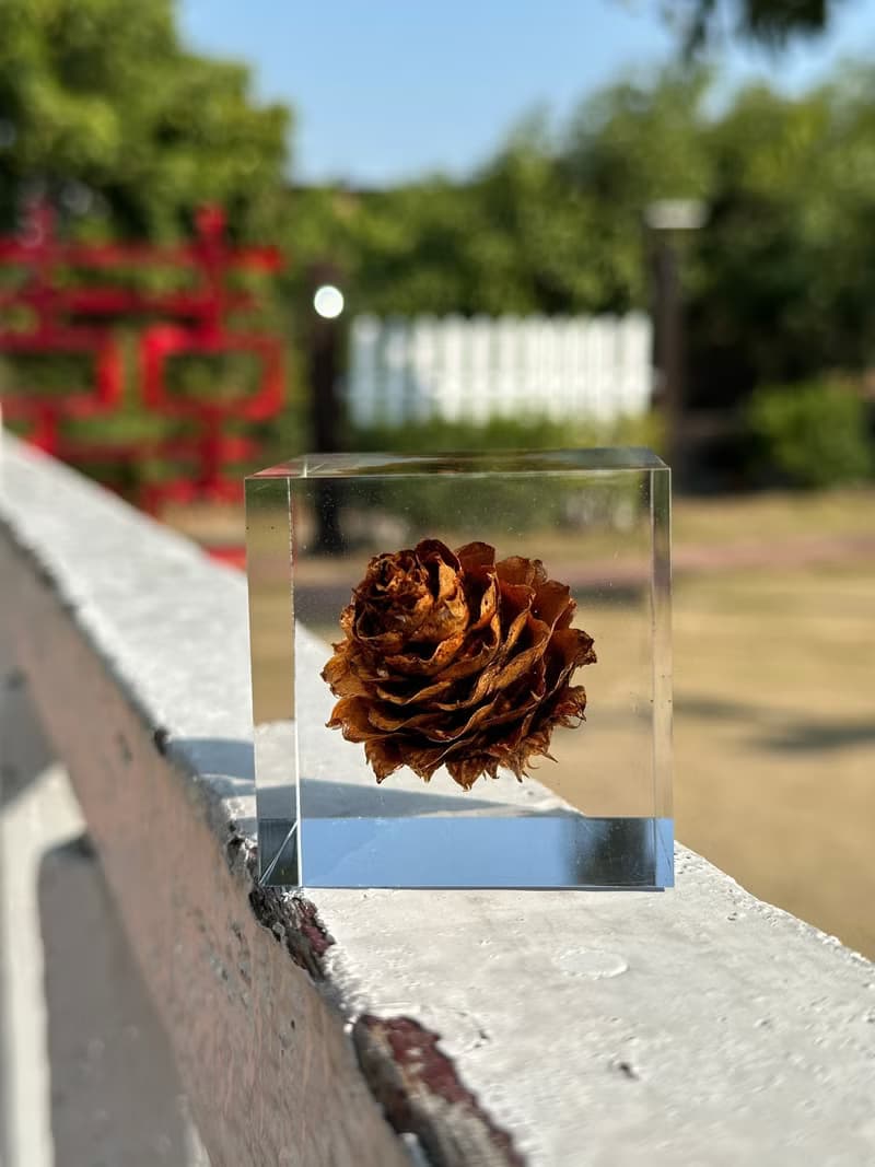 【純淨植磚－毬果】植感手作藝術品/居家品味擺飾
