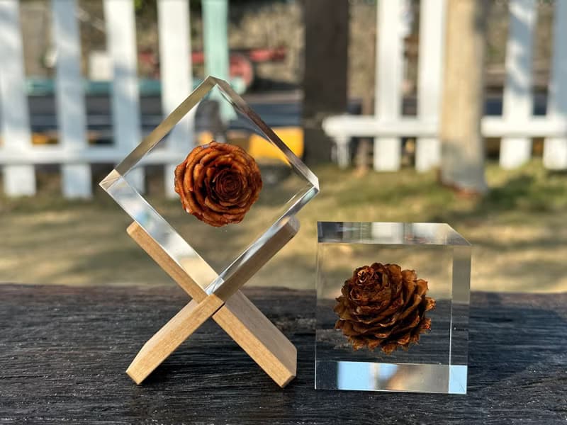 【純淨植磚－毬果】植感手作藝術品/居家品味擺飾